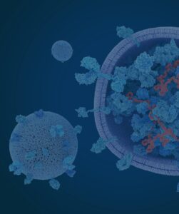WEBSITE_EXOSOMES_CROP_FLIP_DARK v00.80